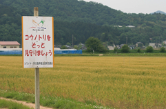 JAたじま「コウノトリ大豆生産部会」